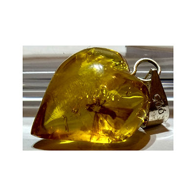 Dije De Ámbar Corazón Con Insecto Y Plata 1.23 Gramos